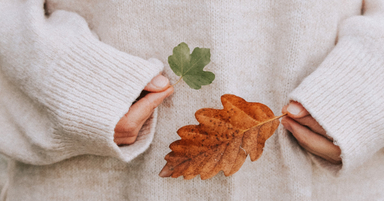 Eine Person in einem hellen, weiten Pullover hält zwei Pflanzenbläter. Zwischen ihrem rechten Daumen und Zeigefinger hält die Person ein kleines, grünes Blatt. Zwischen ihrem linken Daumen und Zeigefinger hält sie ein größeres, braunes Blatt.